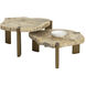 Orric 28 X 24 inch Natural / Antique Brass Coffee Table